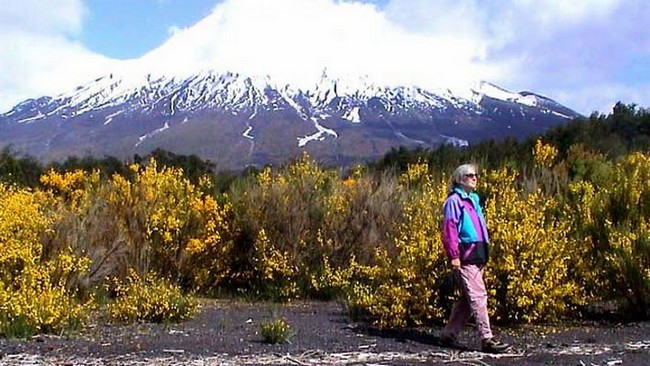 Vor dem schneebedeckten Vulkan Osorno